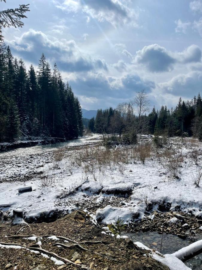 Готель Ведмідь Людвиківка Екстер'єр фото